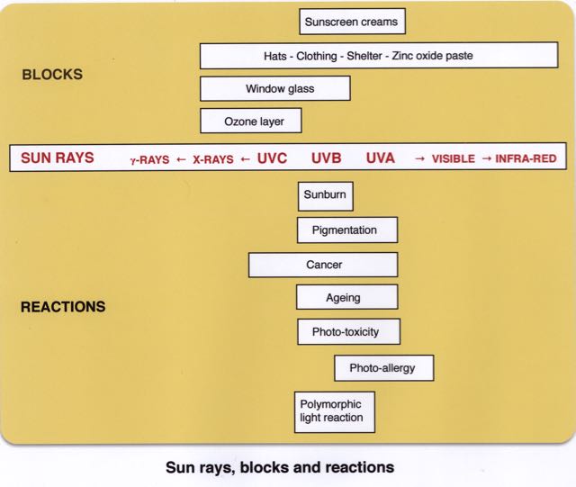 sun-blocks-reactions-atopic-eczema